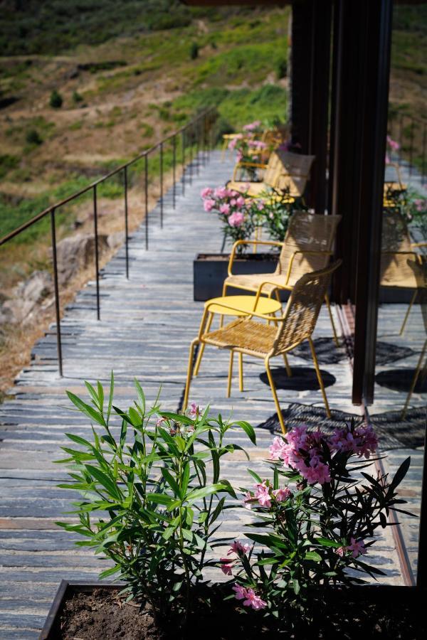 Bonelli House Villa Alijó Eksteriør bilde